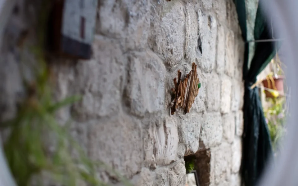 Holidays in Komiža - Apartment Porpini photo gallery